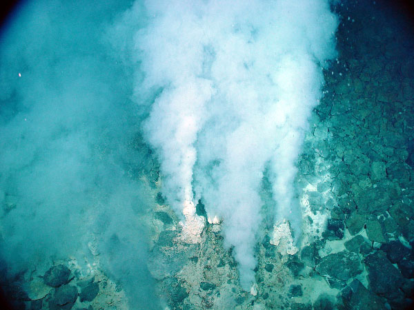 Hydrothermal vent