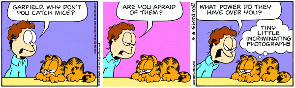 Identity Function Garfield
