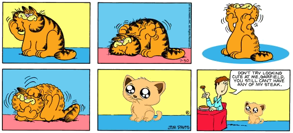 Kawaii Garfield