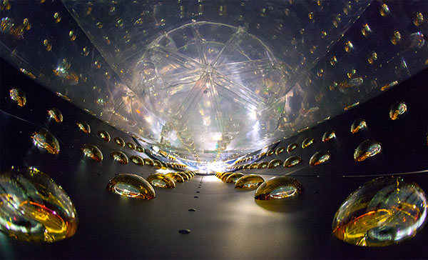 Daya Bay neutrino detector