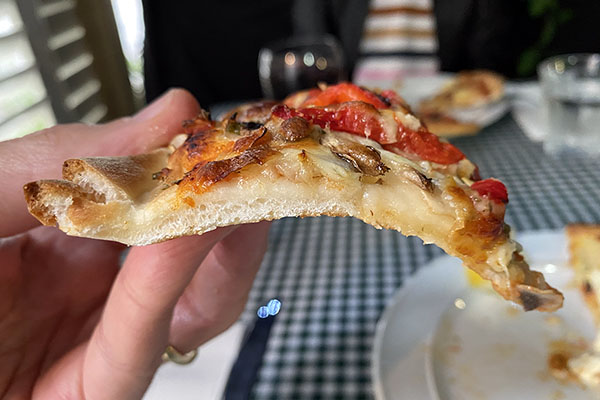 A floppy slice of pizza