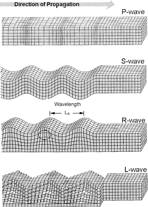 Seismic wave types