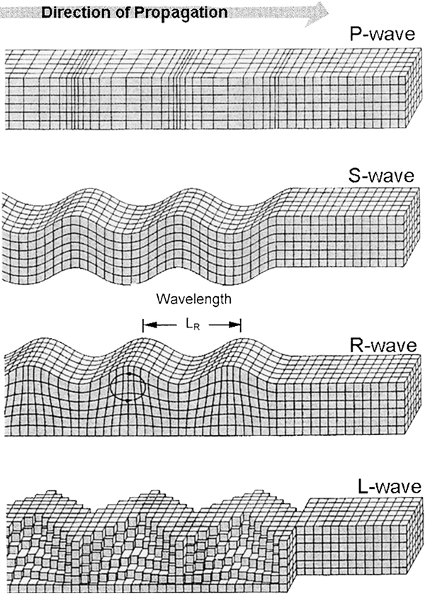 39. Seismic wave propagation – 100 Proofs that the Earth is a Globe