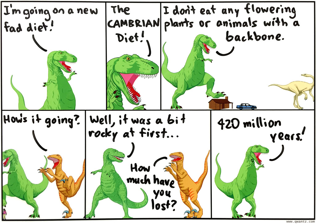 The Cambrian Diet