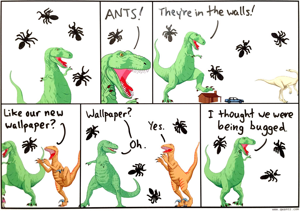 Ants!