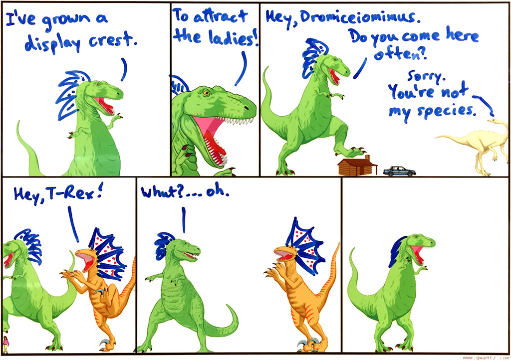 What feathered dinosaurs got up to