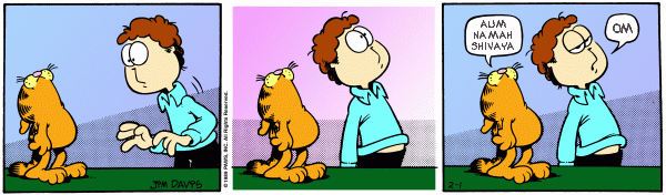 Meditations on Garfield