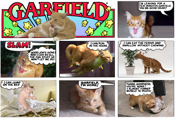 Realfield