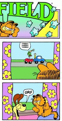 Garfield Cross Section B