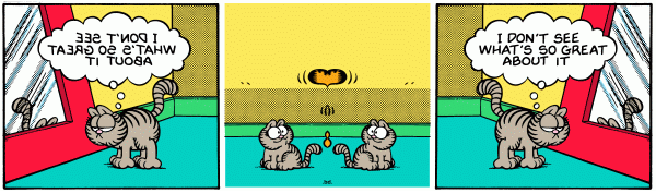 Mirrored Garfield
