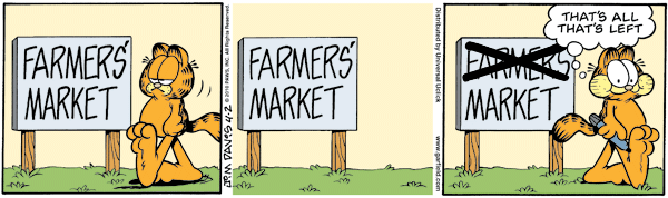 Farmer's Market