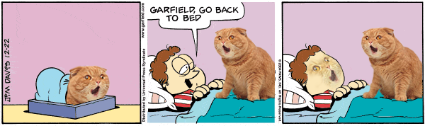Colonel Beltfield