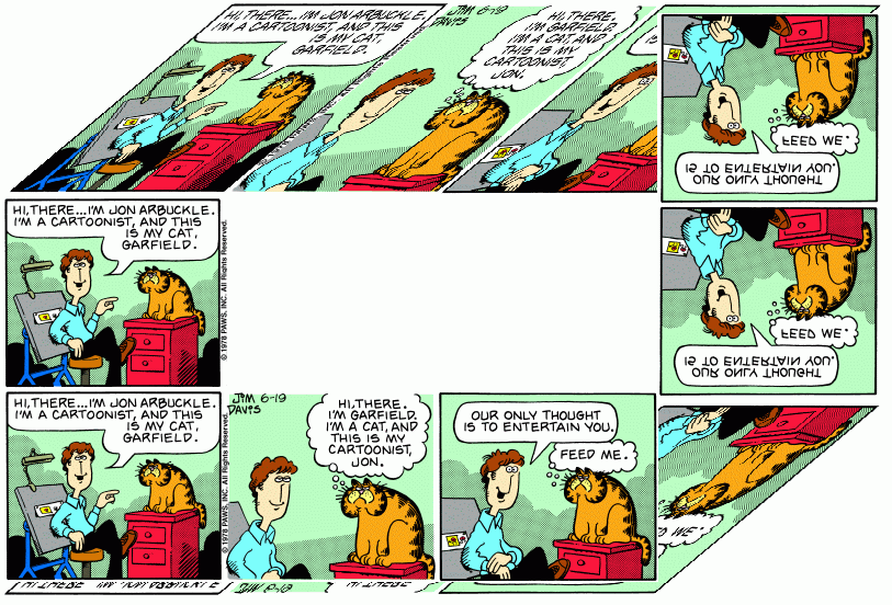 Optical Illusion Garfield
