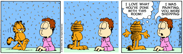Reversed Punchline Garfield