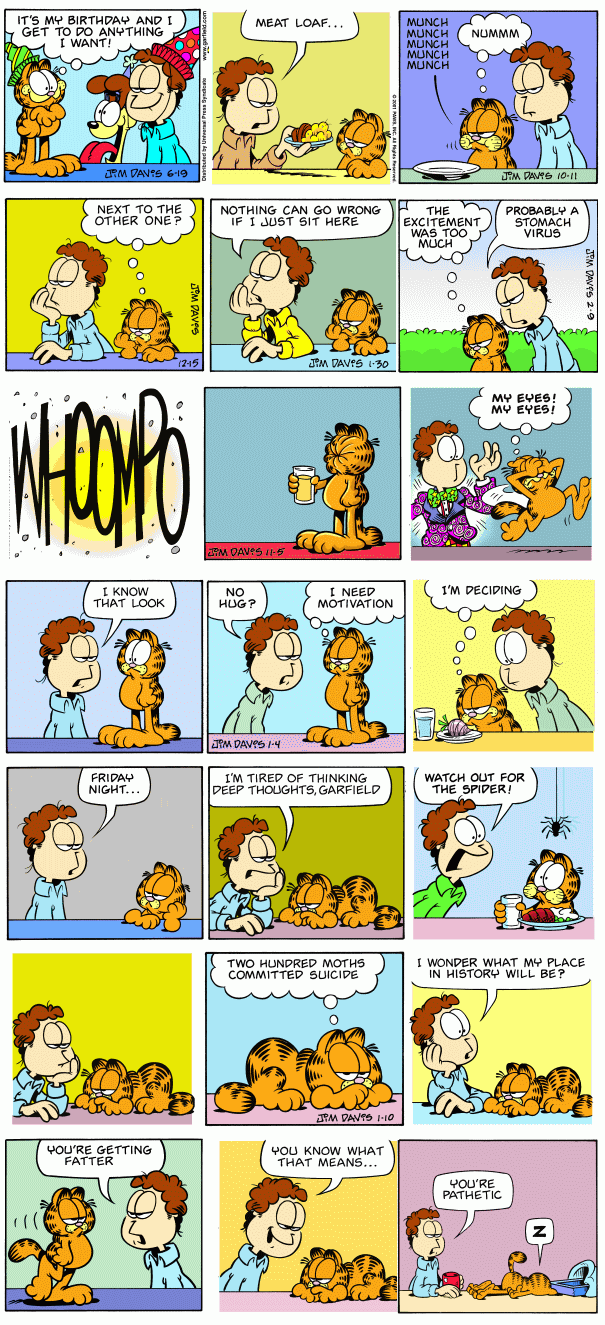Random Garfield Collection