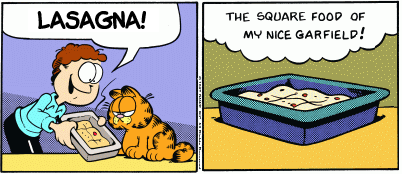 Square Food of My Nice Garfield