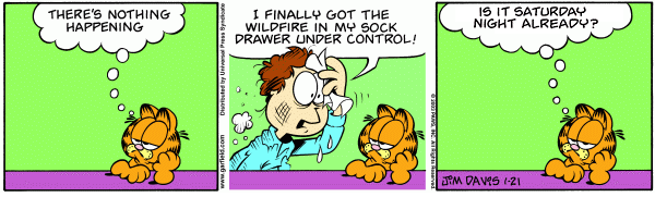 Transplanted Punchline Garfield