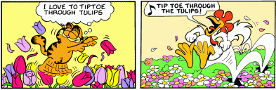Tulip Tiptoe