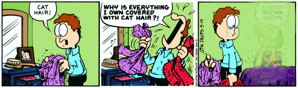 The Very Last Garfield Minus Garfield Strip