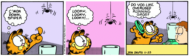 What the Spider Saw
