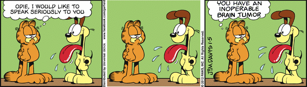 Garfield Plus Seriousness