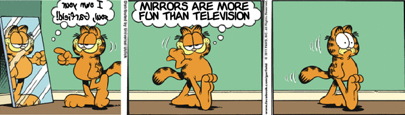 Mirror Garfield