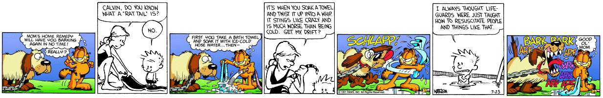 Calvin And Garfield