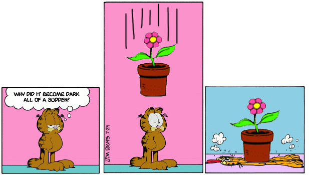 How do you like them petunias?