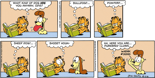 Garfield's Point of View
