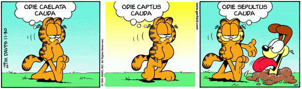The Latin Root of Minus Garfield