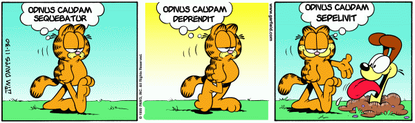 Better Latin Garfield