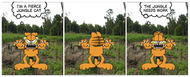 Jungle