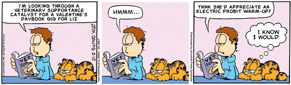 N+7 Garfield