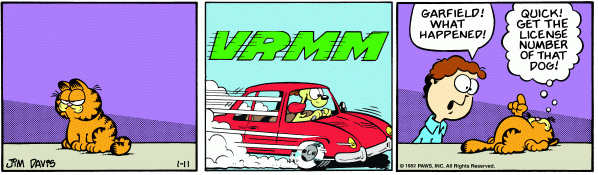 License Number