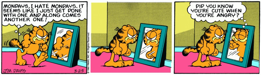 Teasing Reflection