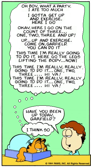 One Panel Garfield 3