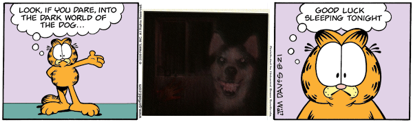 The Dark World of the Dog