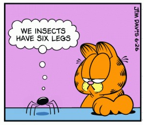 A Brief Zoology Lesson