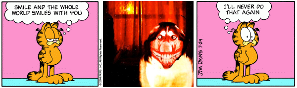 Smile.garfield