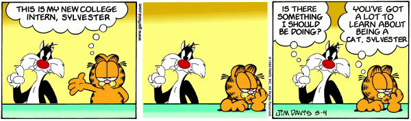 Garfield's Intern