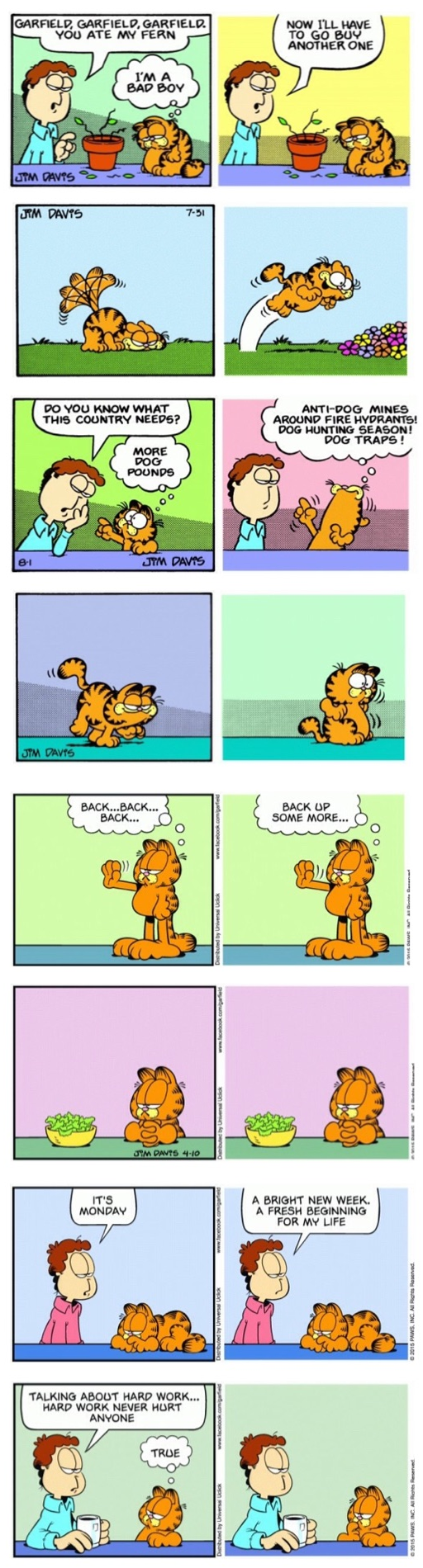 Garfield Minus Punchlines