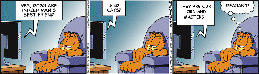 And cats?