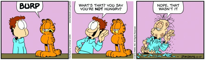 Garfield With A Slightly Changed Setup