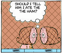 Ham Rap (Enjoy What You Do)