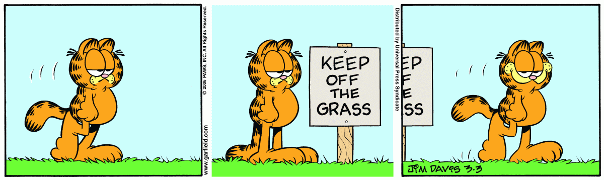Naughty Garfield