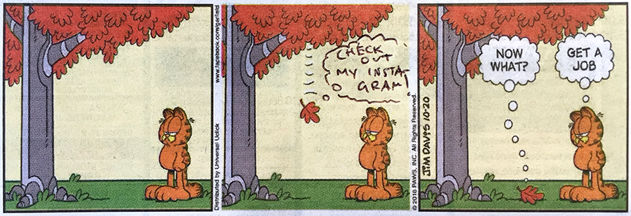 Make like a leaf and tweet