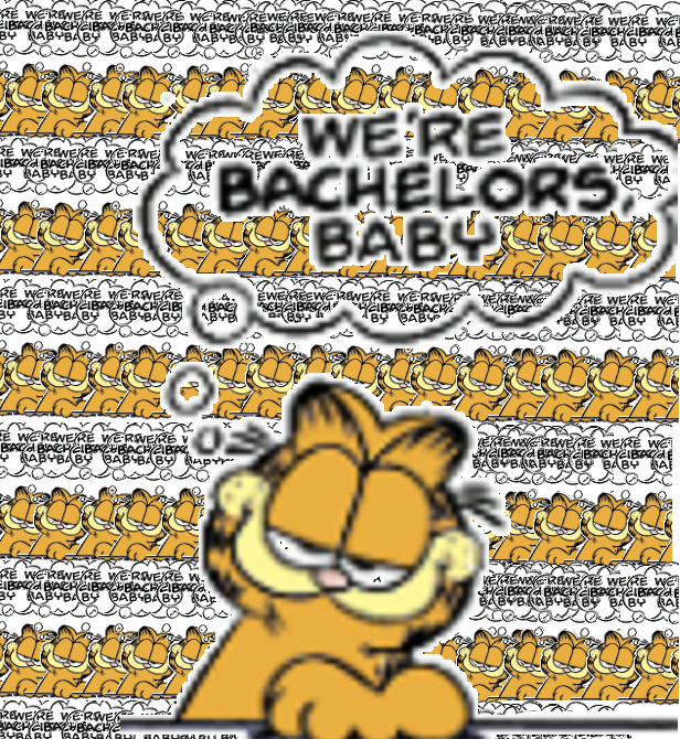 B A C H E L O R S