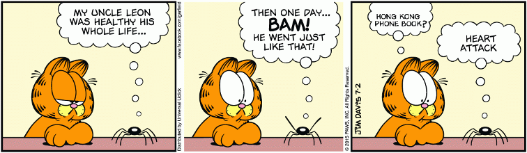 The Tragic Fate of Leon the Spider