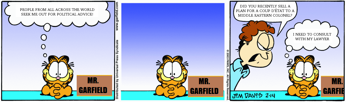 Political Consultant Garfield