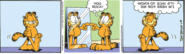 Mirrorverse Garfield